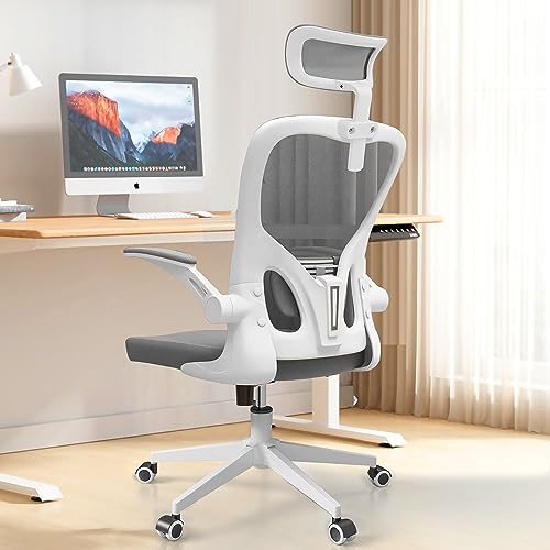 Ergonomic Office Chairs
